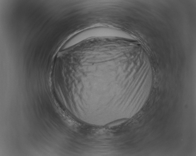 X0000082940098200702222257