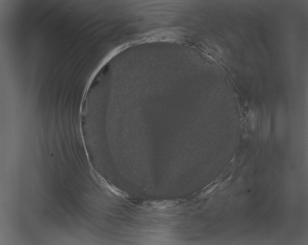 X0000082940100200702222257