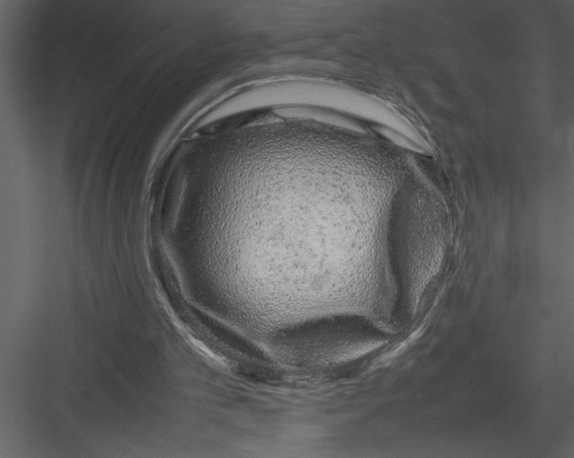 X0000082940101200702222257