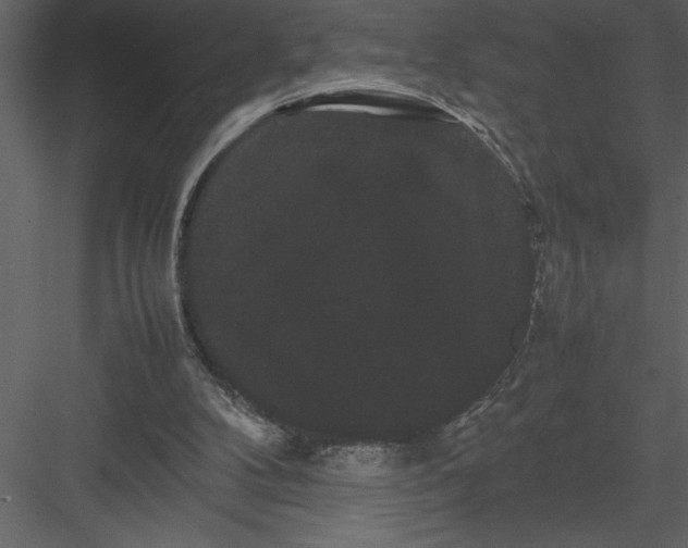 X0000082940104200702222257