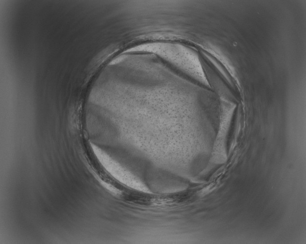 X0000082940105200702222257