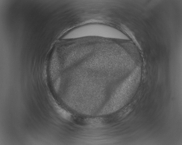 X0000082940106200702222257