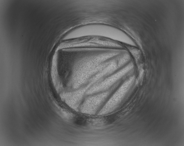 X0000082940107200702222257