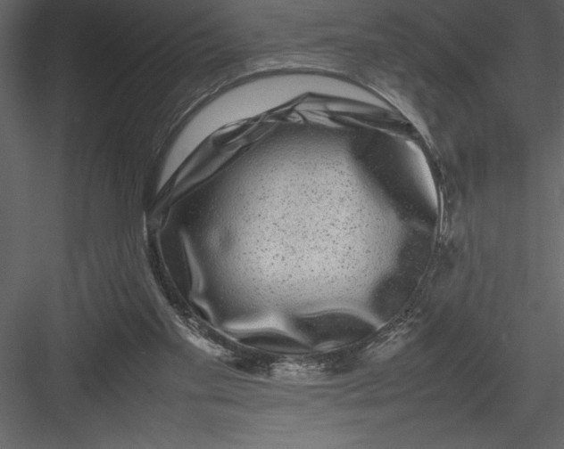 X0000082940109200702222257