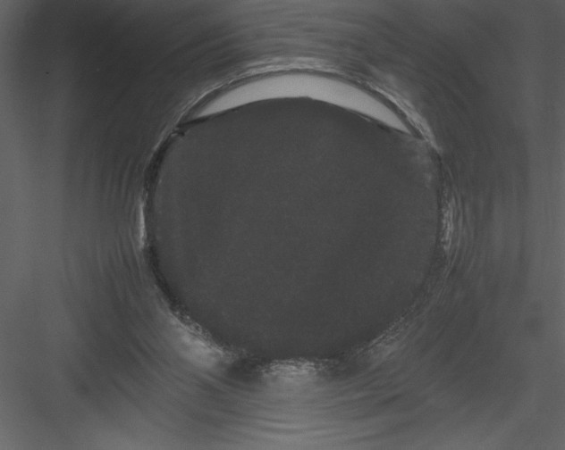 X0000082940110200702222257