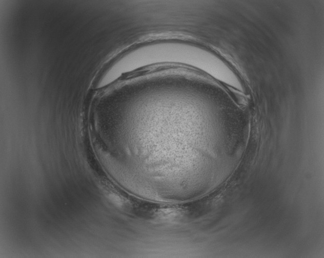 X0000082940111200702222257