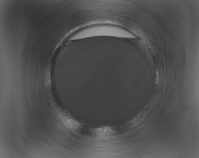 X0000082940112200702222257