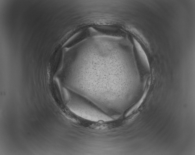 X0000082940113200702222257