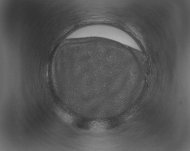 X0000082940115200702222257