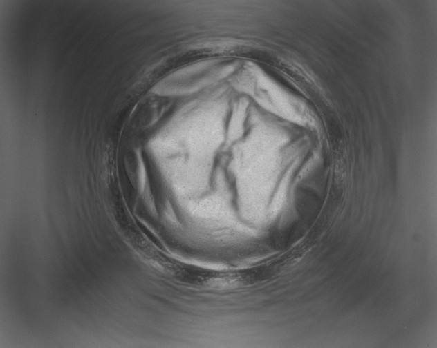 X0000082940119200702222257