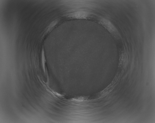 X0000082940120200702222257