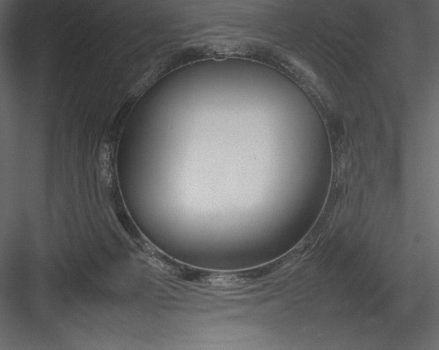 X0000082940121200702222257