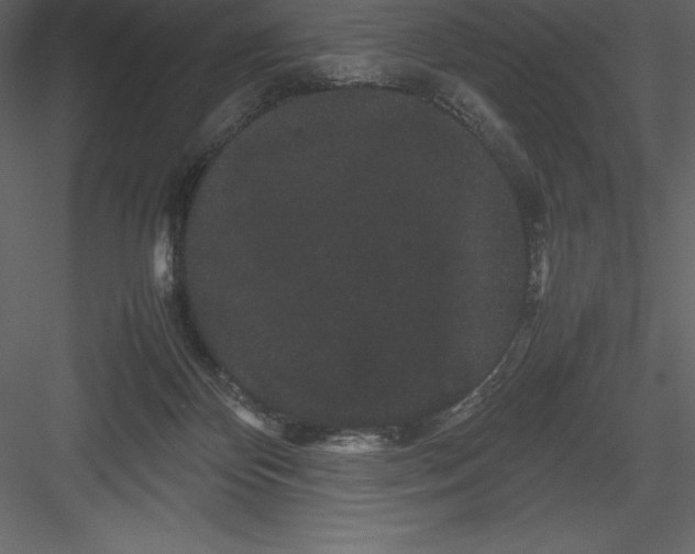 X0000082940124200702222257