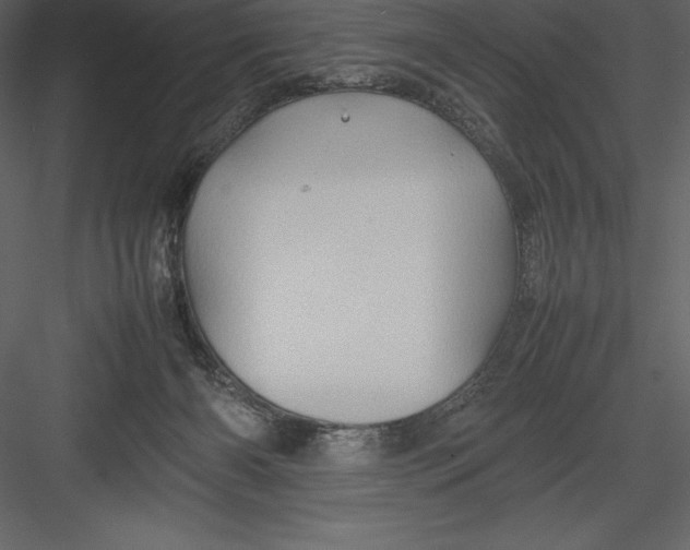 X0000082940126200702222257