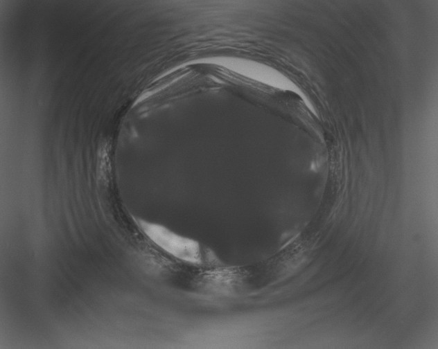 X0000082940127200702222257