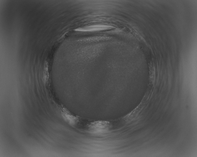 X0000082940128200702222257