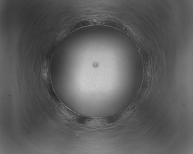 X0000082940129200702222257