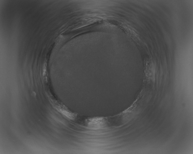 X0000082940132200702222257