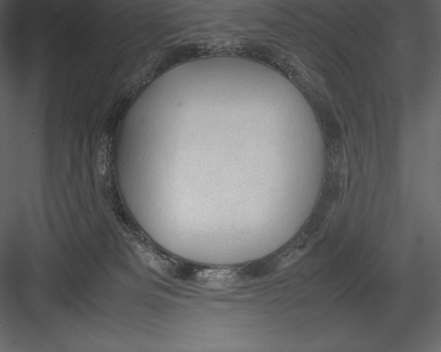 X0000082940133200702222257