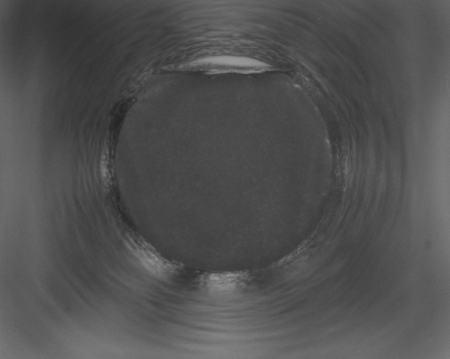 X0000082940134200702222257