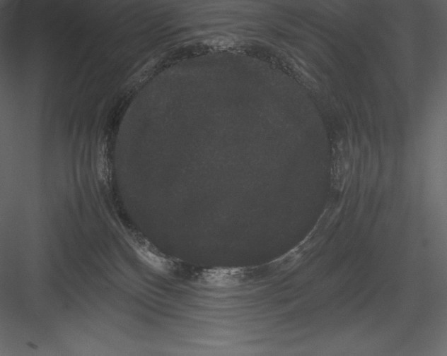 X0000082940136200702222257