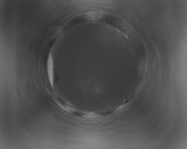 X0000082940137200702222257