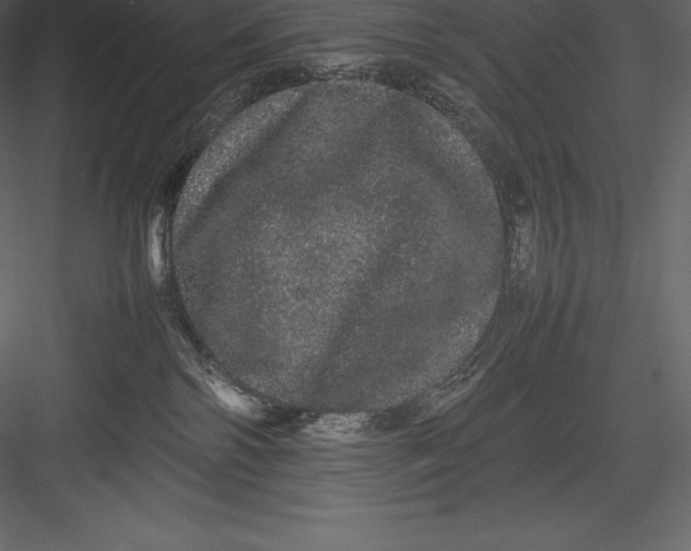 X0000082940138200702222257