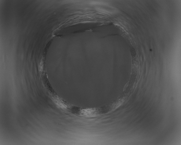 X0000082940139200702222257