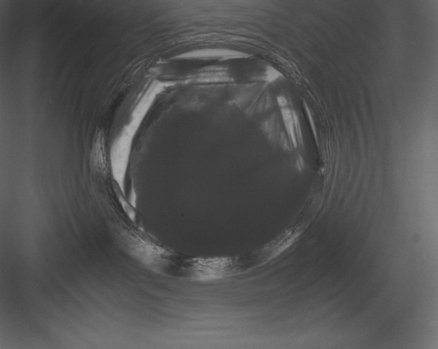 X0000082940143200702222256