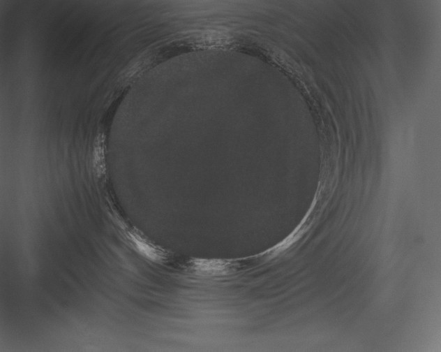 X0000082940144200702222256