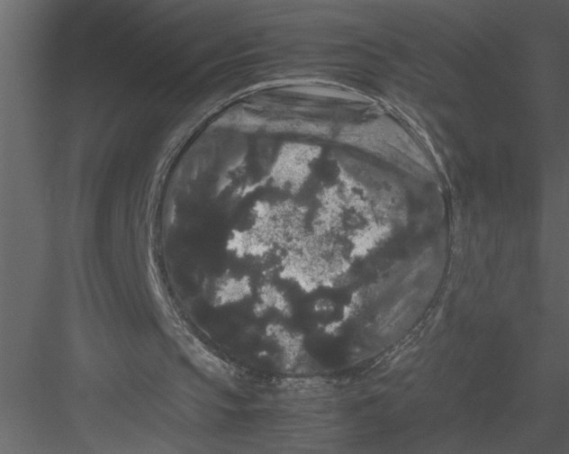 X0000082940145200702222256