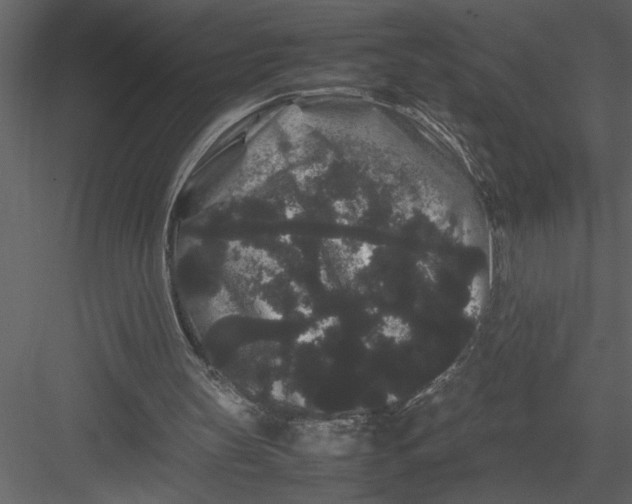 X0000082940147200702222256