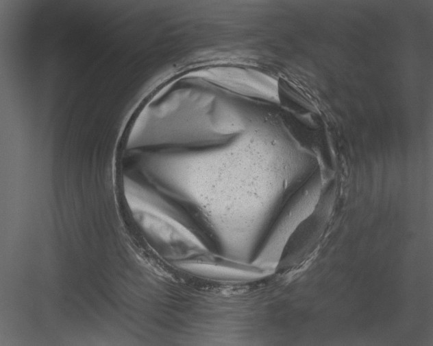 X0000082940148200702222256