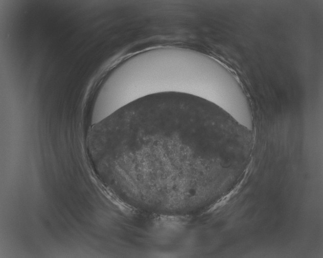 X0000082940149200702222256