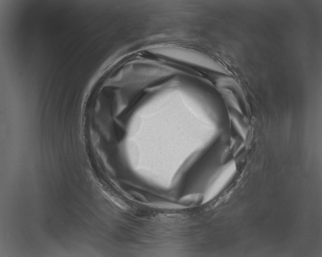 X0000082940150200702222256