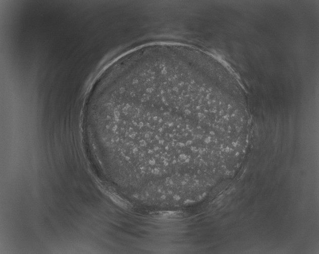 X0000082940151200702222256