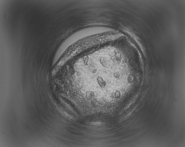 X0000082940153200702222256