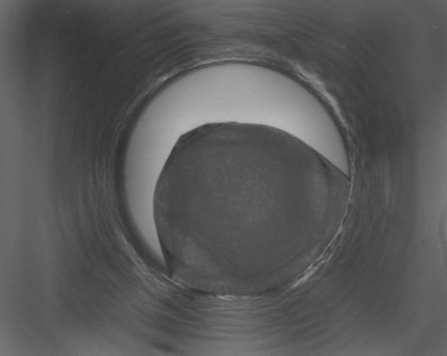 X0000082940154200702222256