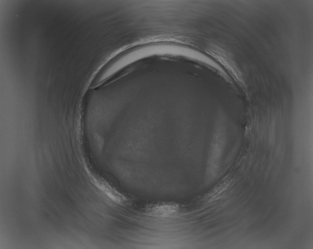 X0000082940156200702222256