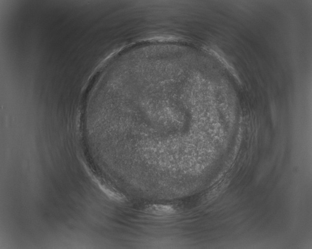 X0000082940159200702222256