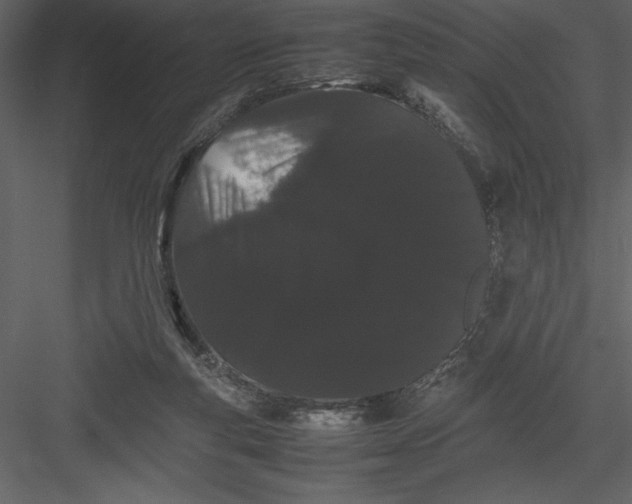 X0000082940163200702222256