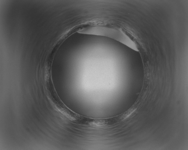 X0000082940164200702222256