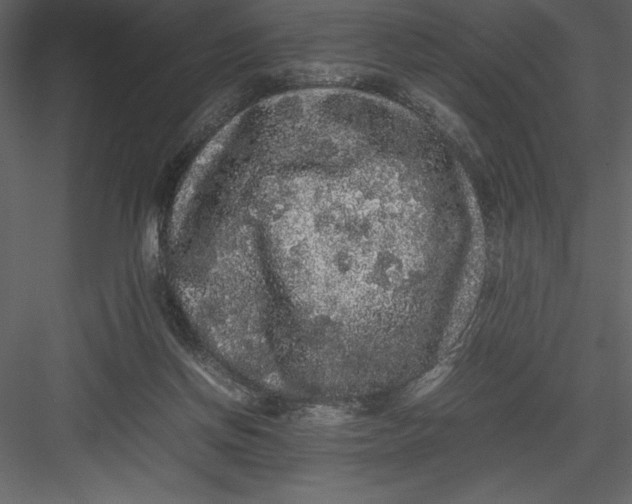 X0000082940166200702222256