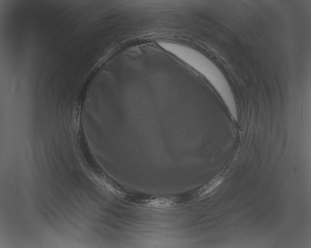 X0000082940168200702222256