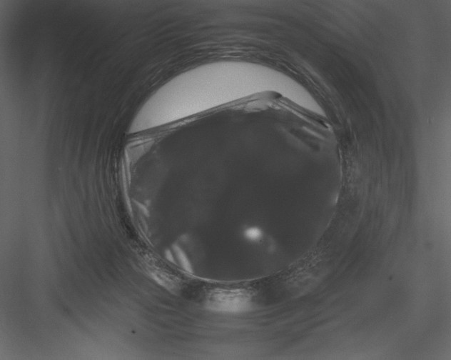 X0000082940169200702222256