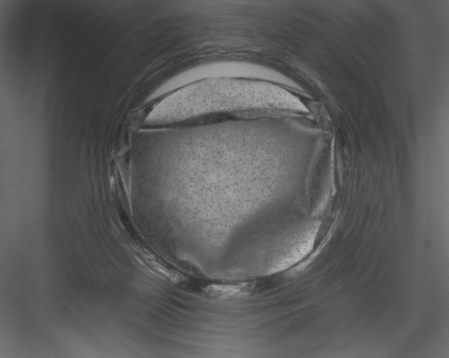 X0000082940170200702222256