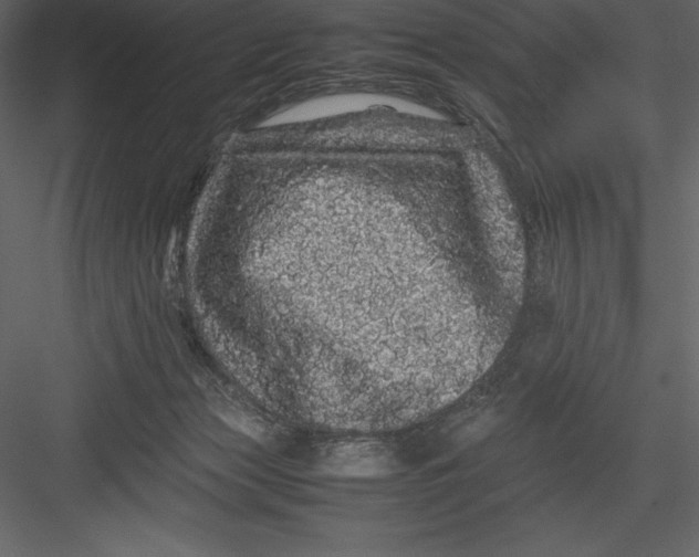 X0000082940173200702222256