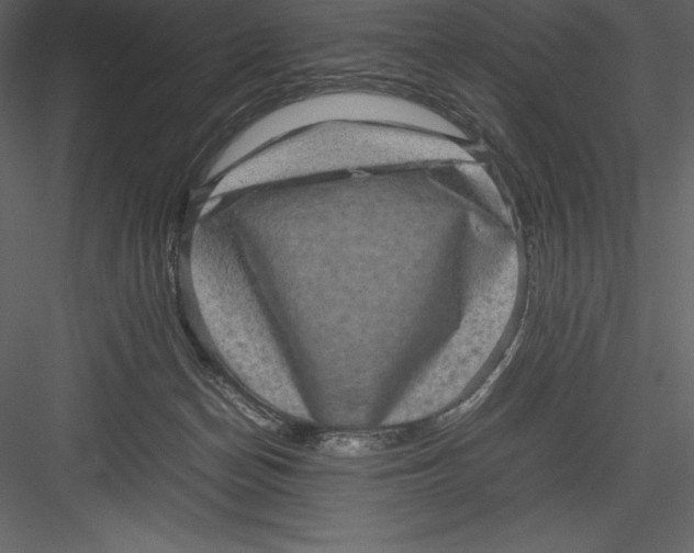 X0000082940174200702222256