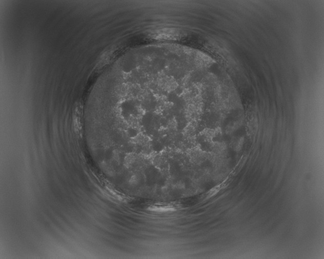 X0000082940175200702222256