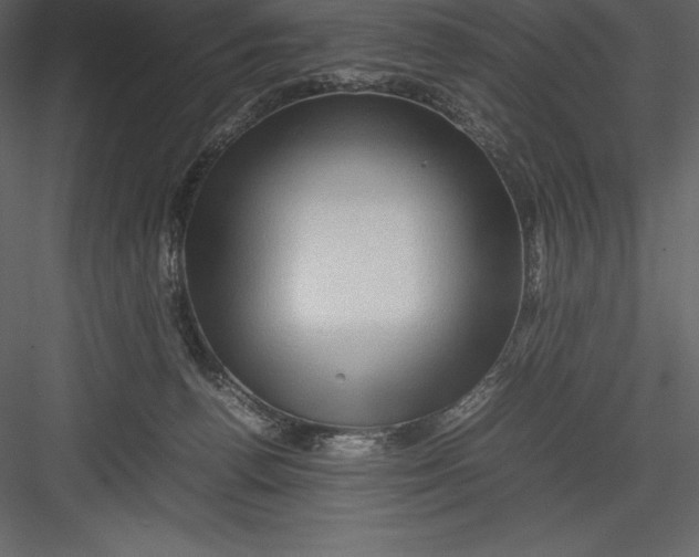 X0000082940176200702222256